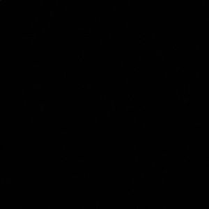 Meet your Posher, Ava